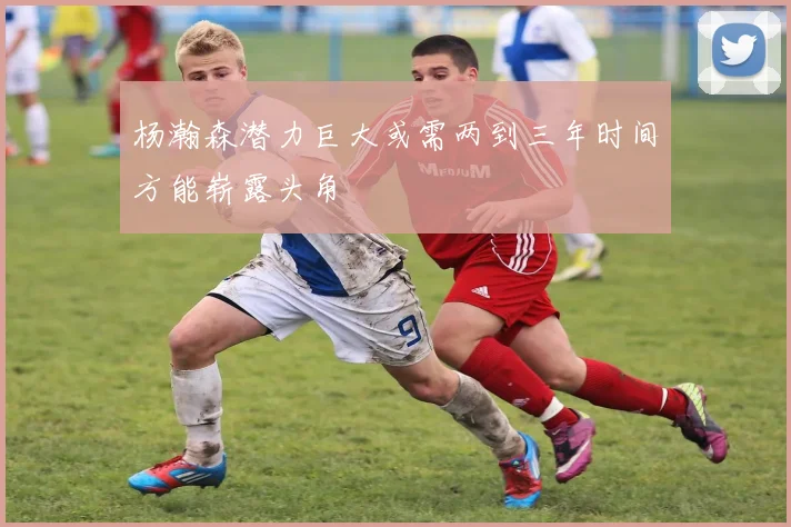 杨瀚森潜力巨大或需两到三年时间方能崭露头角