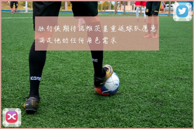 独行侠期待诺维茨基重返球队愿意满足他的任何角色需求